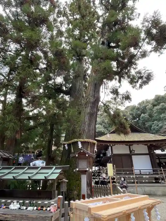 大神神社(奈良県)
