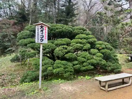 達谷西光寺の自然