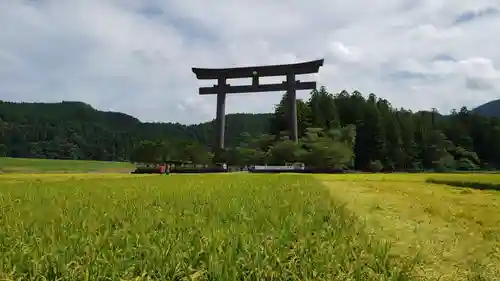 大斎原（熊野本宮大社旧社地）の鳥居