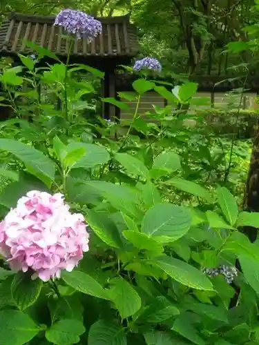 瑞泉寺の庭園