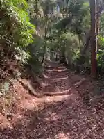 大日天子(千葉県)