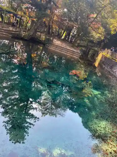 嚴島神社(山口県)