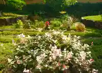 寿量山 速成寺の自然