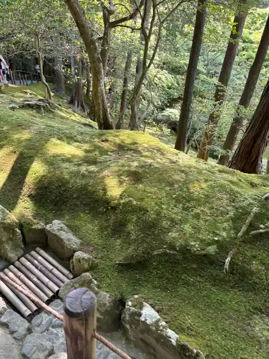 慈照寺(慈照禅寺・銀閣寺)(京都府)