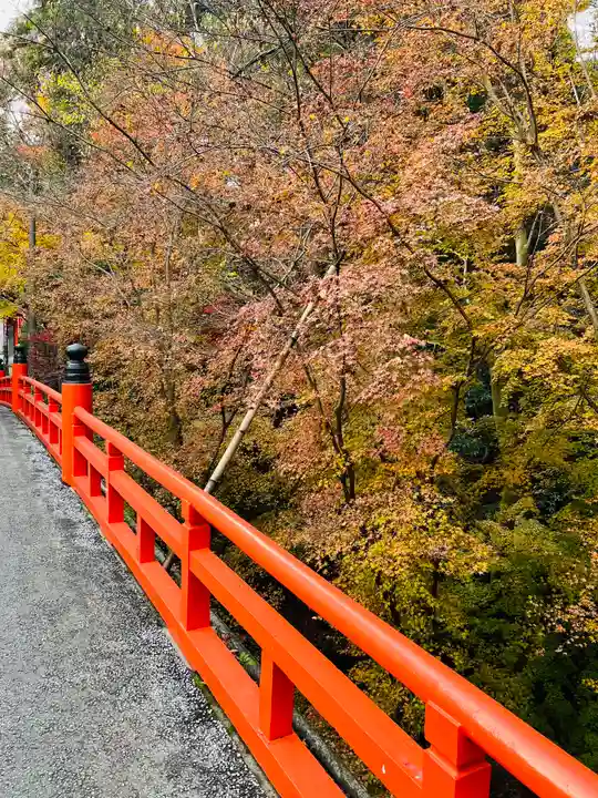 今熊野観音寺(京都府)