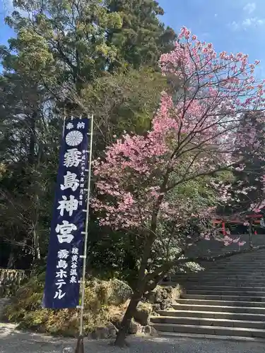 霧島神宮(鹿児島県)