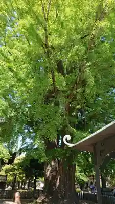 鑁阿寺(栃木県)