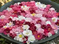 法然院の手水舎