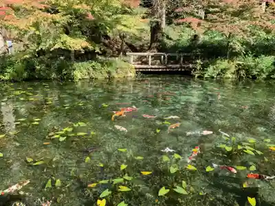 根道神社(岐阜県)