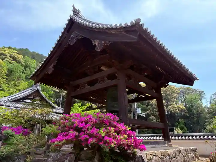 興聖寺(興聖寶林禅寺)の{uncategorized: "未分類", other: "その他", undefined: "問題あり", building: "その他建物", grave: "お墓", sacred_gate: "鳥居", guardian: "狛犬", statue: "像", buddha: "仏像", history: "歴史", nature: "自然", garden: "庭園", animal: "動物", pagoda: "塔", temizu: "手水舎", mountain_gate: "山門・神門", sanctuary: "本殿・本堂", subordinate: "末社・摂社", art: "芸術", scenery: "景色", jizo: "地蔵", ema: "絵馬", goshuin: "御朱印", omikuji: "おみくじ", items: "授与品その他", amulet: "お守り", goshuincho: "御朱印帳", eats: "食事", festival: "お祭り", votive_dance: "神楽", shichigosan: "七五三参", wedding: "結婚式", experience: "体験その他", initially: "初詣", around: "周辺", anti_infection: "感染症対策"}