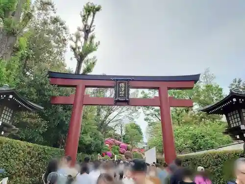 根津神社(東京都)