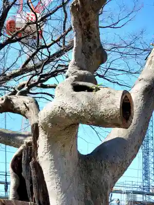 阿邪訶根神社(福島県)