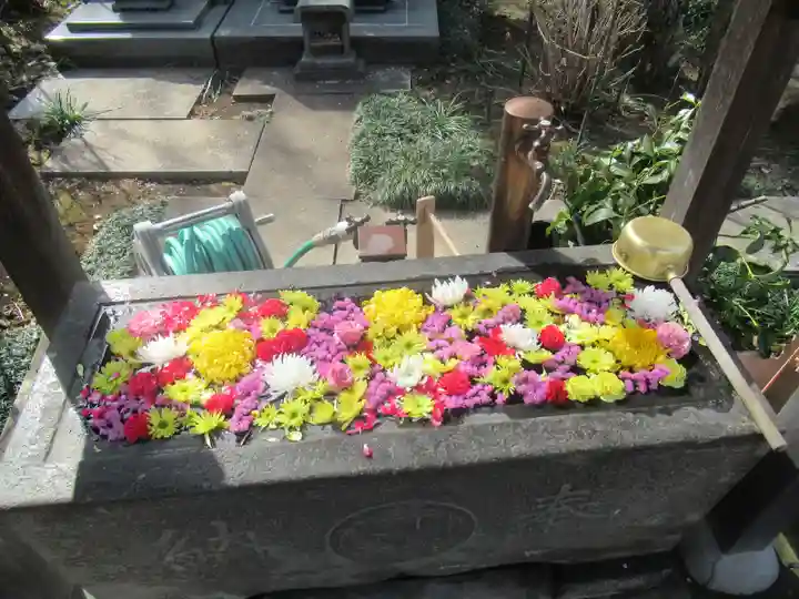 龍福寺の手水舎