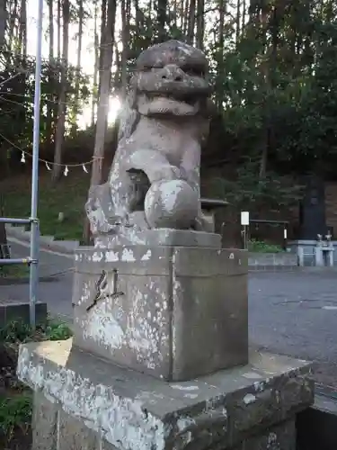 杉山神社の狛犬