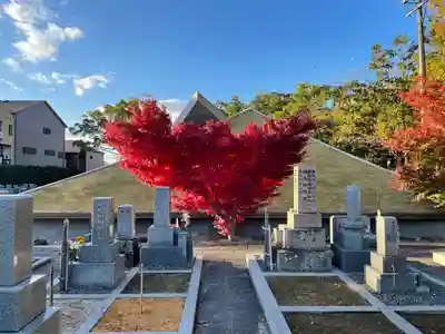 伊勢の国 四天王寺(三重県)