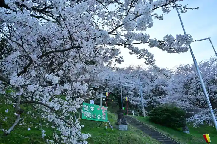 菅原神社(新潟県)