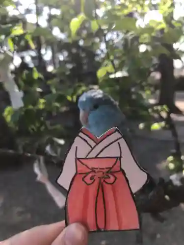 八幡神社の動物