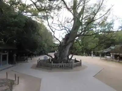 大山祇神社(愛媛県)