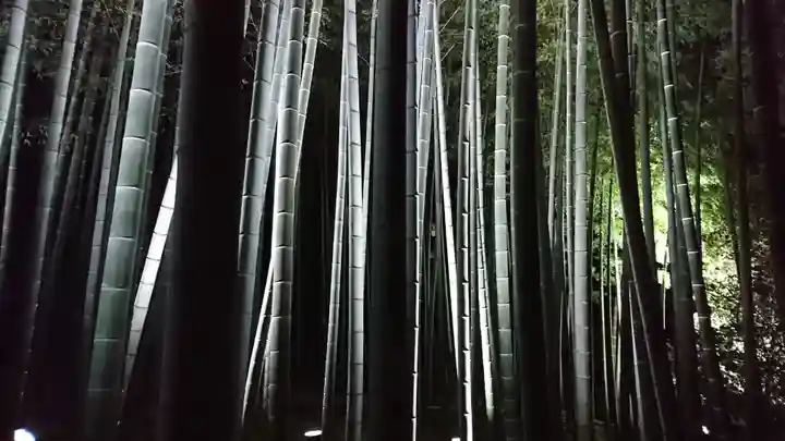 青蓮院門跡(京都府)