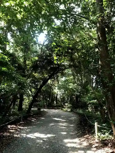 皇宮神社（宮崎神宮摂社）の自然