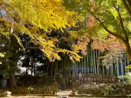 東漸寺(千葉県)