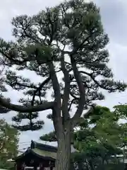 宝蔵寺の歴史