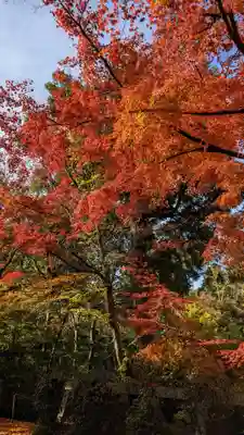 来迎院(京都府)