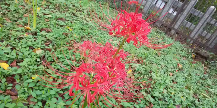 平野神社(京都府)