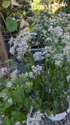 行願寺（革堂）(京都府)