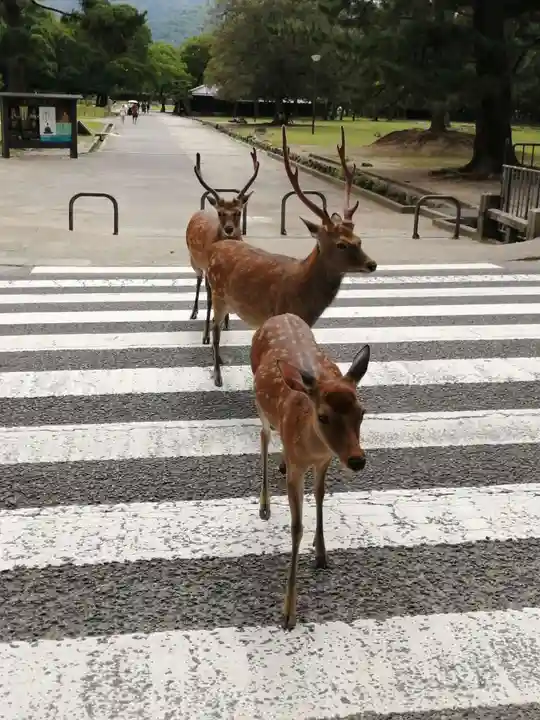興福寺 南円堂(奈良県)