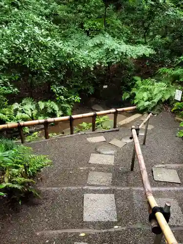 明治神宮(東京都)