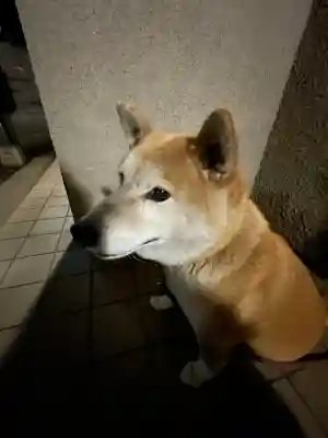 笠䅣稲荷神社(神奈川県)