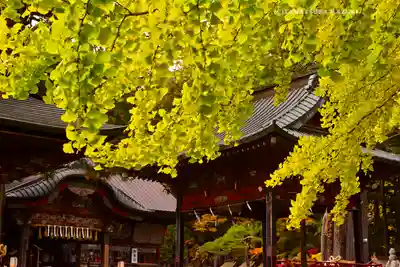 北口本宮冨士浅間神社(山梨県)