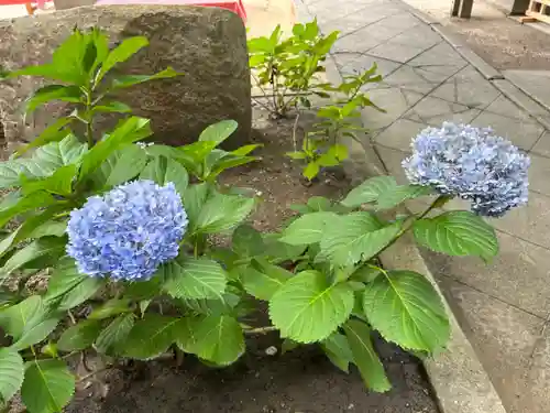 菅生神社の自然
