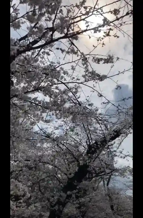 寛永寺不忍池弁天堂の{uncategorized: "未分類", other: "その他", undefined: "問題あり", building: "その他建物", grave: "お墓", sacred_gate: "鳥居", guardian: "狛犬", statue: "像", buddha: "仏像", history: "歴史", nature: "自然", garden: "庭園", animal: "動物", pagoda: "塔", temizu: "手水舎", mountain_gate: "山門・神門", sanctuary: "本殿・本堂", subordinate: "末社・摂社", art: "芸術", scenery: "景色", jizo: "地蔵", ema: "絵馬", goshuin: "御朱印", omikuji: "おみくじ", items: "授与品その他", amulet: "お守り", goshuincho: "御朱印帳", eats: "食事", festival: "お祭り", votive_dance: "神楽", shichigosan: "七五三参", wedding: "結婚式", experience: "体験その他", initially: "初詣", around: "周辺", anti_infection: "感染症対策"}