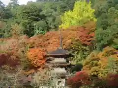 金剛院(京都府)