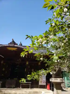 渋谷氷川神社(東京都)
