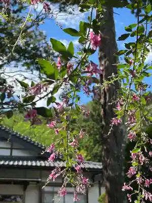 常光寺(長野県)