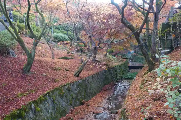 東福禅寺(東福寺)(京都府)