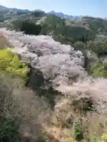 愛宕神社の自然