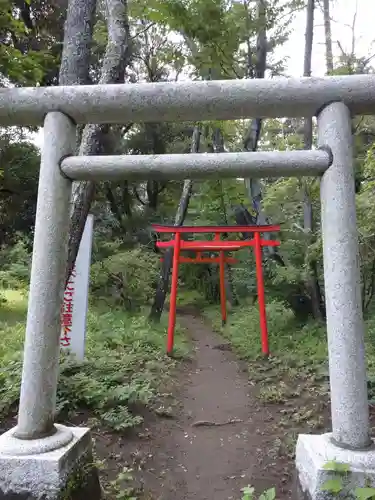 大洗磯前神社の鳥居