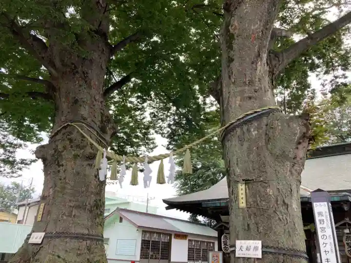 熊野宮のその他建物