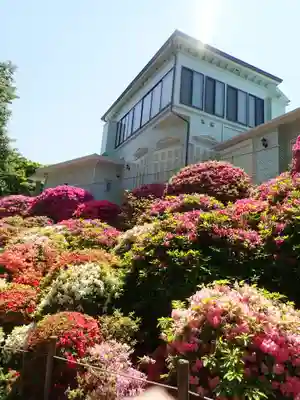 根津神社(東京都)