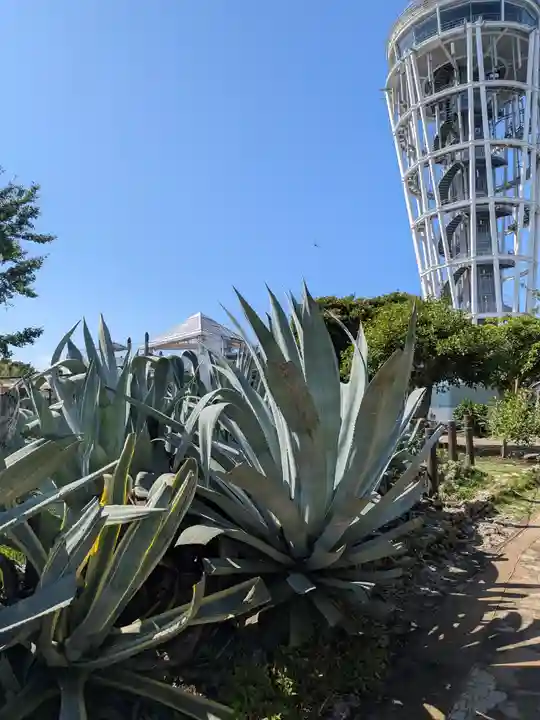 最福寺別院江の島大師の周辺