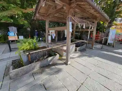 出雲大神宮の手水舎