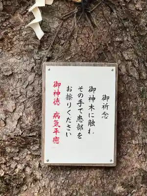 八幡社（児子八幡社）の{uncategorized: "未分類", other: "その他", undefined: "問題あり", building: "その他建物", grave: "お墓", sacred_gate: "鳥居", guardian: "狛犬", statue: "像", buddha: "仏像", history: "歴史", nature: "自然", garden: "庭園", animal: "動物", pagoda: "塔", temizu: "手水舎", mountain_gate: "山門・神門", sanctuary: "本殿・本堂", subordinate: "末社・摂社", art: "芸術", scenery: "景色", jizo: "地蔵", ema: "絵馬", goshuin: "御朱印", omikuji: "おみくじ", items: "授与品その他", amulet: "お守り", goshuincho: "御朱印帳", eats: "食事", festival: "お祭り", votive_dance: "神楽", shichigosan: "七五三参", wedding: "結婚式", experience: "体験その他", initially: "初詣", around: "周辺", anti_infection: "感染症対策"}