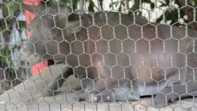 千喜万悦天満宮(京都府)