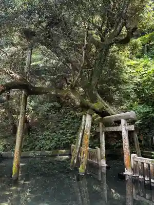 鹿島神宮(茨城県)