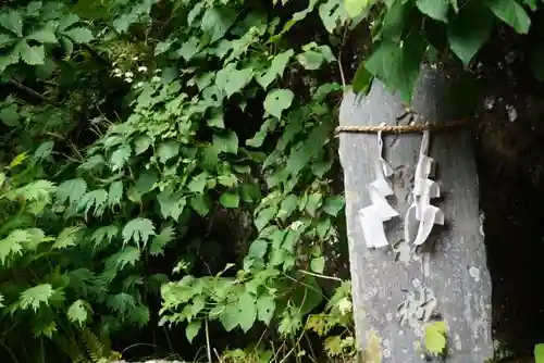 戸隠神社九頭龍社のその他建物