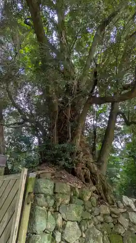 新羅善神堂（三井寺園城寺飛地境内・北院鎮守社）(滋賀県)